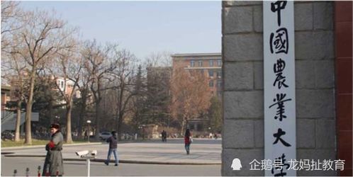 重慶迎五所雙一流大學布局，含兩所985高校南京環保工程校區